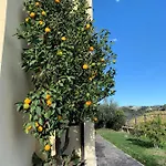 Verdemare 3* Acquaviva Picena