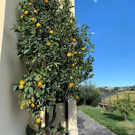 Verdemare 3* Acquaviva Picena