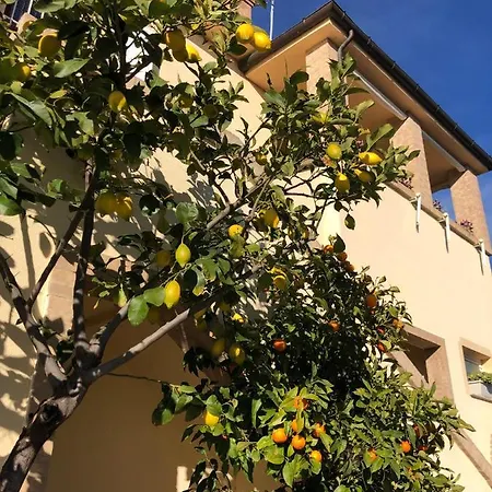 Verdemare Panzió Acquaviva Picena