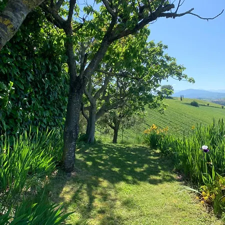 Verdemare Bed & Breakfast Acquaviva Picena