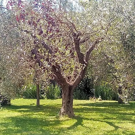 Verdemare Bed & Breakfast