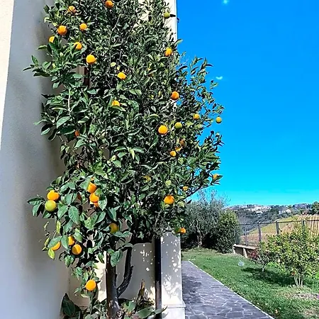 Verdemare Bed & Breakfast Acquaviva Picena