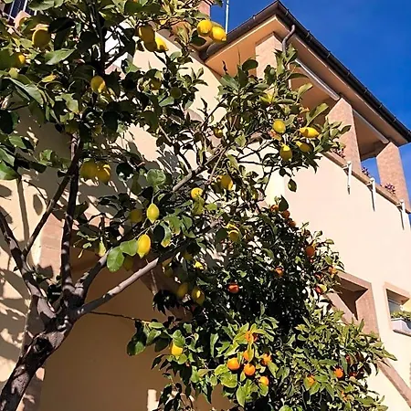 Bed & Breakfast Verdemare Acquaviva Picena
