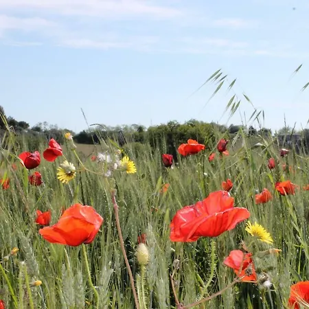Verdemare 3* Acquaviva Picena