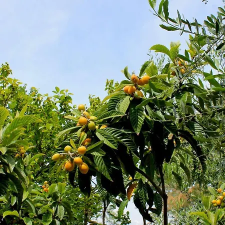 Verdemare Bed and breakfast 3*